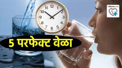 सर्व आजारांपासून राहाल दूर, फक्त दिवसातून ‘या’ ५ वेळेत प्या पाणी! आरोग्यतज्ज्ञांनी सांगितली योग्य वेळ