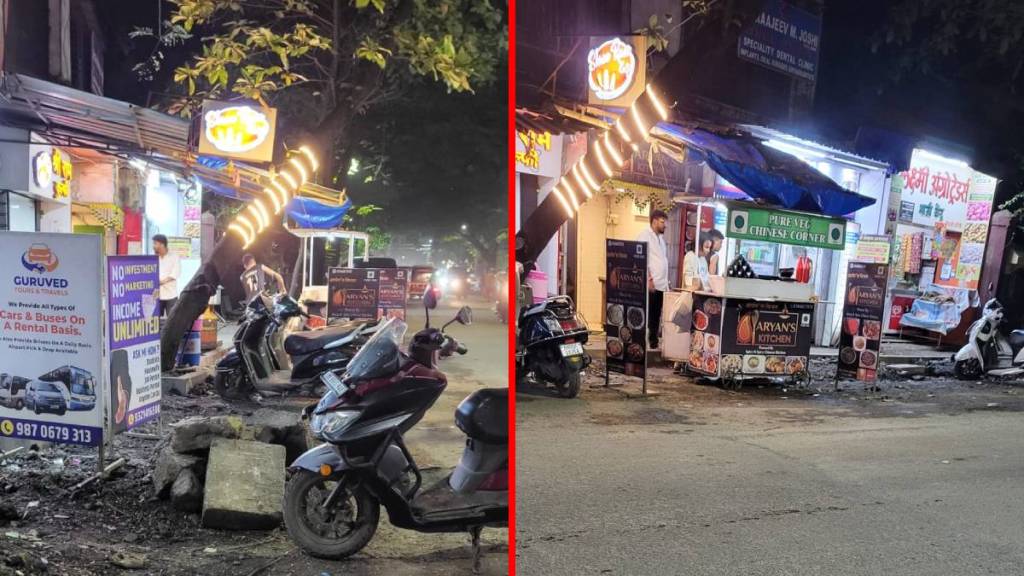 Electric lighting of trees in Dombivli.