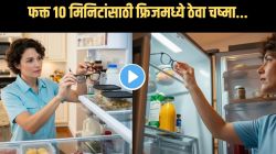 Kitchen Jugaad VIDEO: घरातील फ्रिजमध्ये फक्त १० मिनिटे चष्मा ठेवून पाहा; परिणाम पाहून डोळ्यांवर विश्वास बसणार नाही
