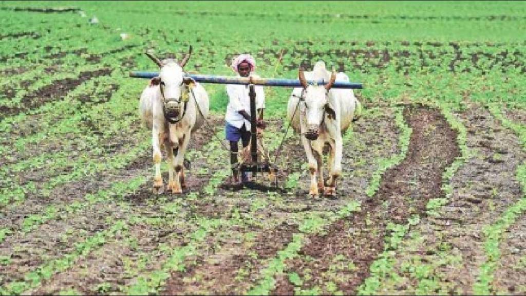52 percent of farmers in Nagar district have registered for ‘Agristack’ identity cards
