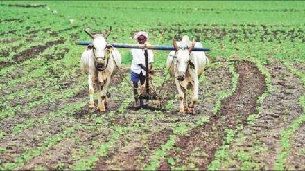 52 percent of farmers in Nagar district have registered for ‘Agristack’ identity cards