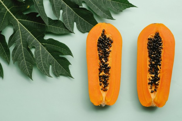 papaya