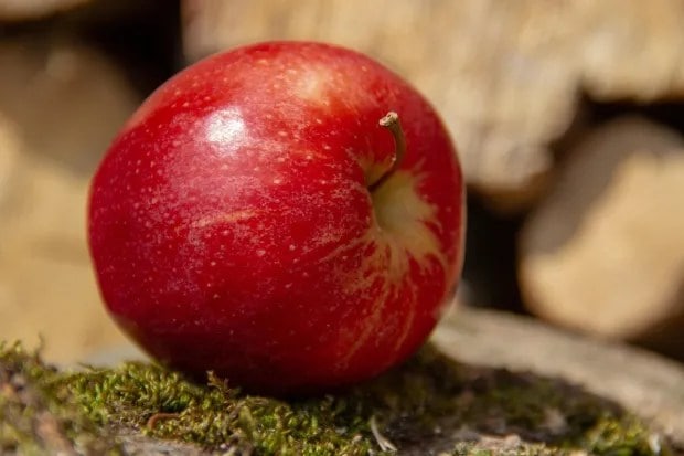 apple