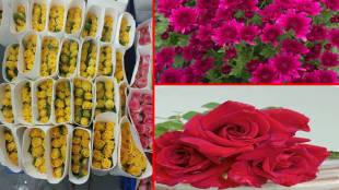 Flower production declined by 30 percent and flower prices increased in the market Kolhapur news