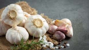 fresh raw garlic