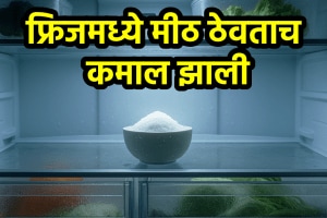 Fridge cleaning tips at home fridge moisture remove with salt fridge smell reason tips refrigerator
