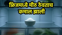 फ्रिजमध्ये मीठ ठेवताच कमाल झाली! परिणाम पाहून डोळ्यांवर विश्वास बसणार नाही…