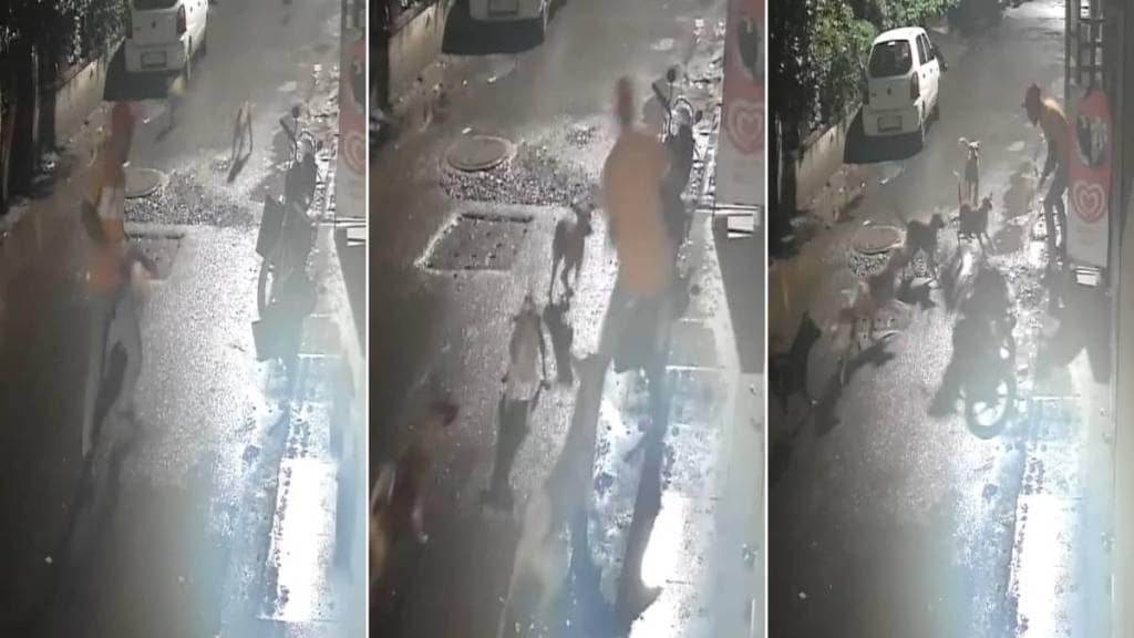 A gang of dogs attacked a young man in Pimpri