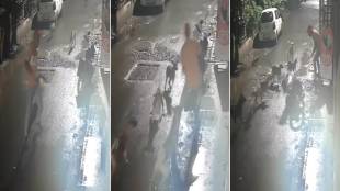 A gang of dogs attacked a young man in Pimpri