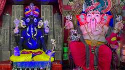 गणेशोत्सवाला पर्यावरण रक्षणाची जोड