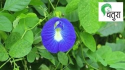 निसर्गलिपी : शब्देविण संवादू…