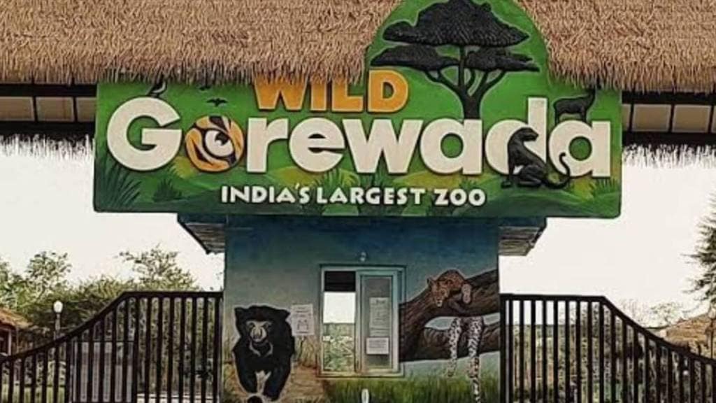 Gorewada International Zoo news