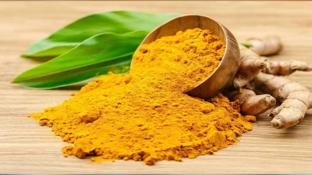 turmeric Production in Vidarbha Marathwada has increased due to domestic and international demand Mumbai print news