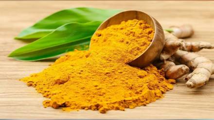 turmeric Production in Vidarbha Marathwada has increased due to domestic and international demand Mumbai print news