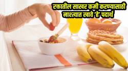 डायबिटीज नेहमी राहील कंट्रोलमध्ये; फक्त नाश्त्याला ‘हे’ पदार्थ खा; परिणाम पाहून थक्क व्हाल