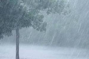  Maharashtra Rain Alert updates monsoon heavy rainfall mumbai pune Weather Alert mumbai