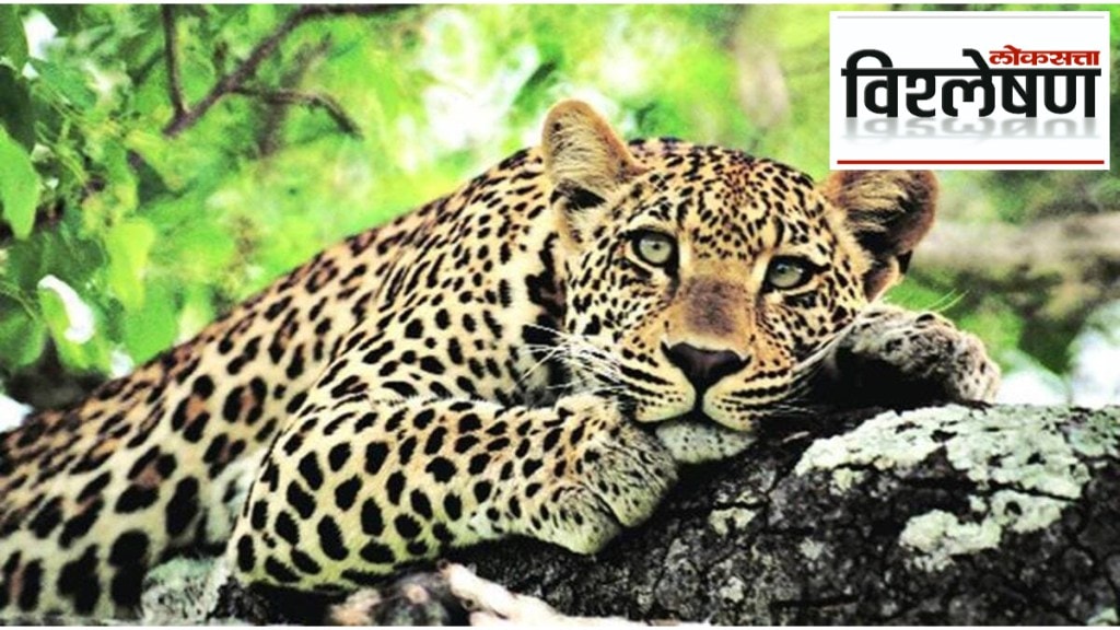human wildlife conflict and tech based solutions