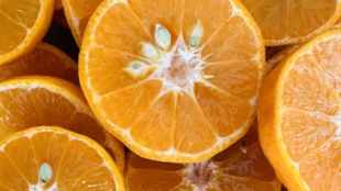 health, vitamin deficiency