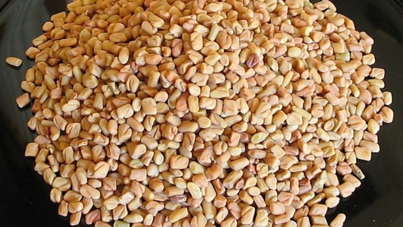health, methi
