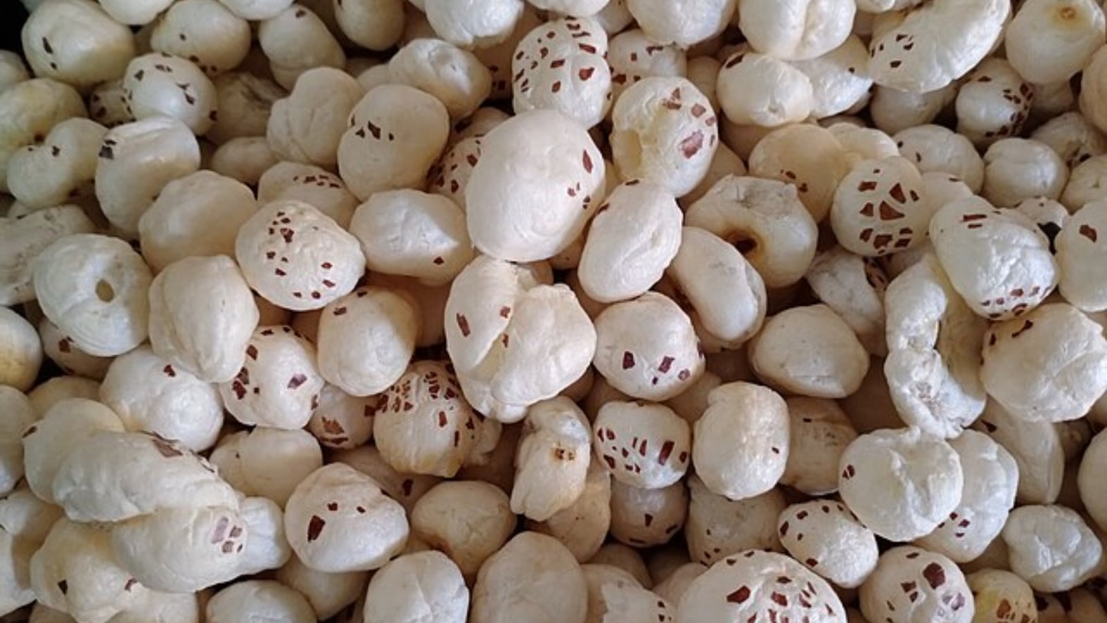health, lotus seeds