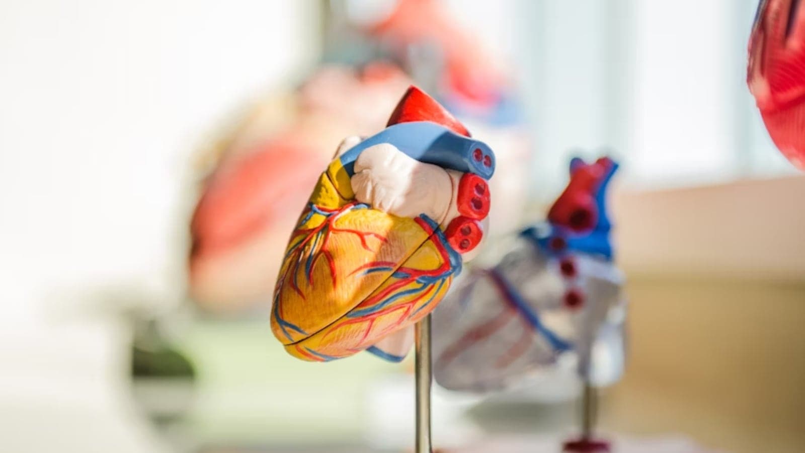 heart health