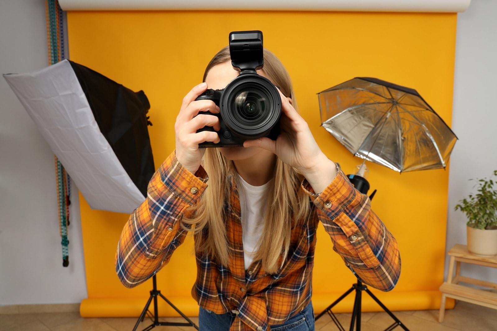 World photography day, camera, evolution of cameras
