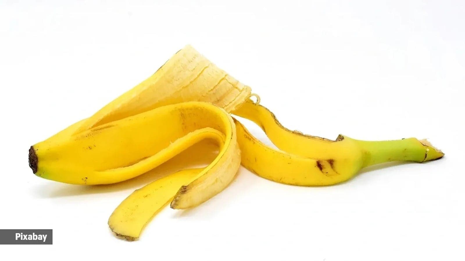 banana peel