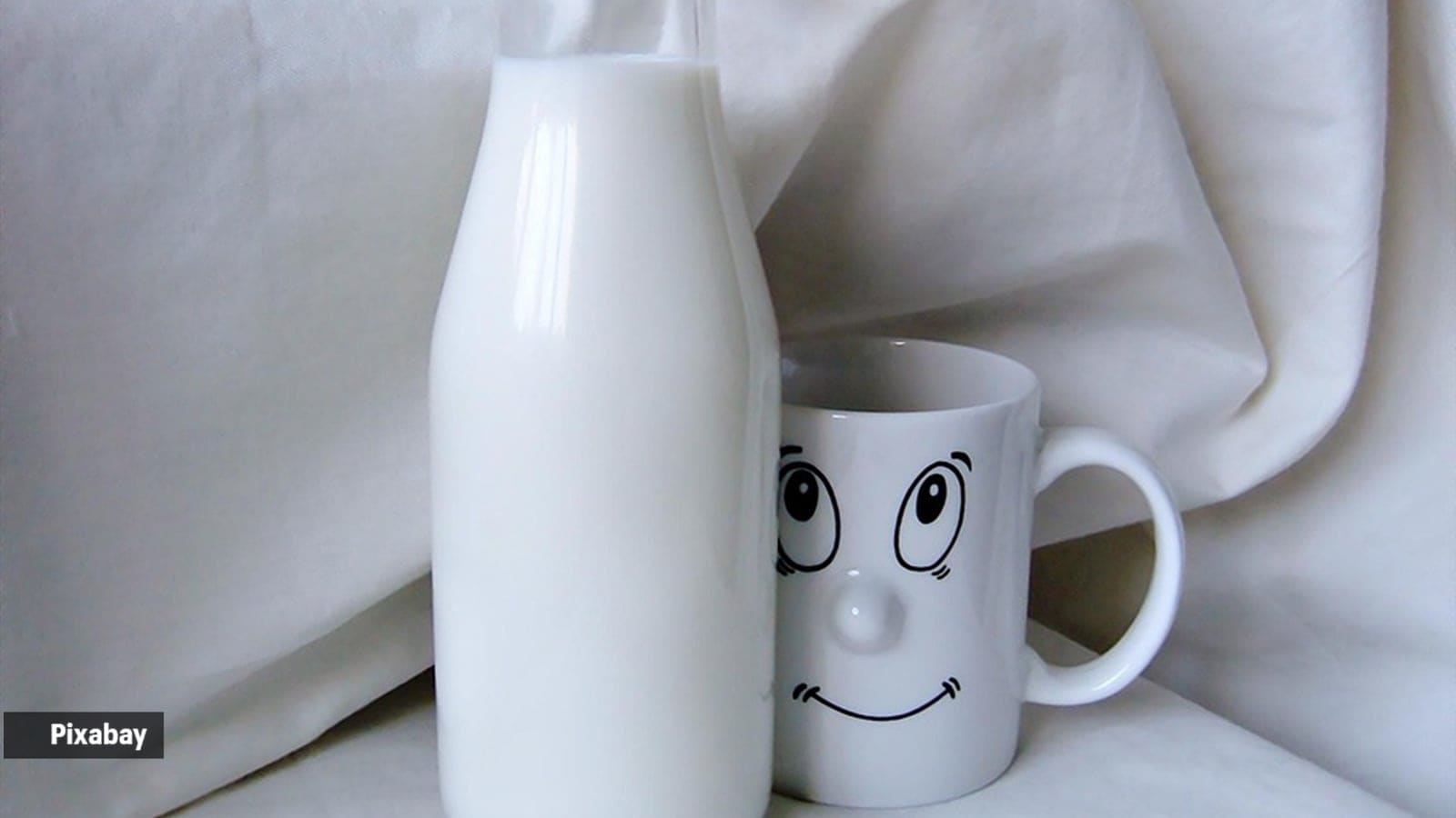 cow milk