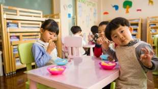 Brain Friendly Foods