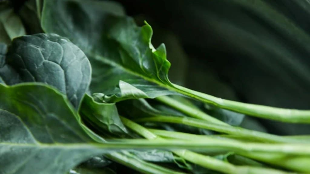 Green leafy vegetables 