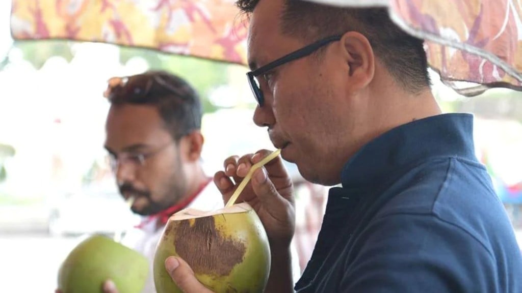 coconut, Shreephal, Shreephal, coconut