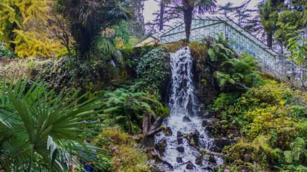 Company Garden 