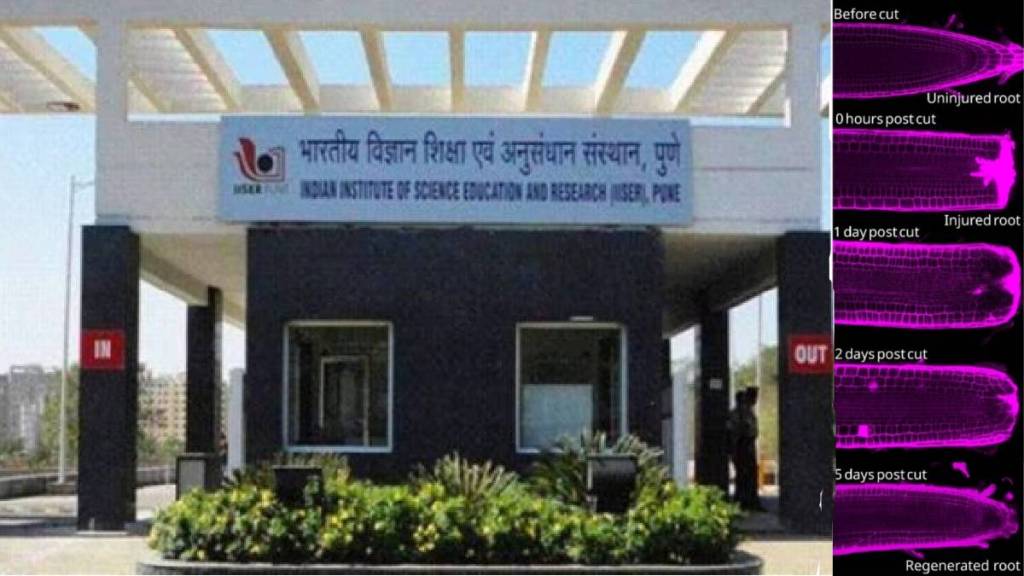 Research by IISER-Pune