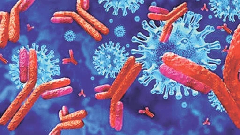All About the Immune System