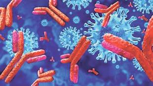 All About the Immune System