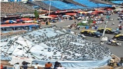 जैन समाजाच्या राजकारणाला आक्रमकतेची धार