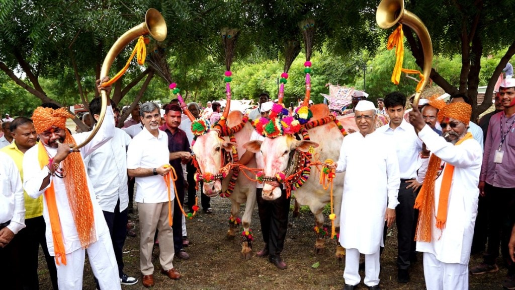 jain irrigation celebrates pola festival with grand rewards for handlers