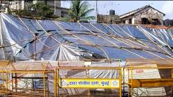 कबुतरखान्यावर पुन्हा छत न्यायालयीन सुनावणीकडे साऱ्यांचे लक्ष
