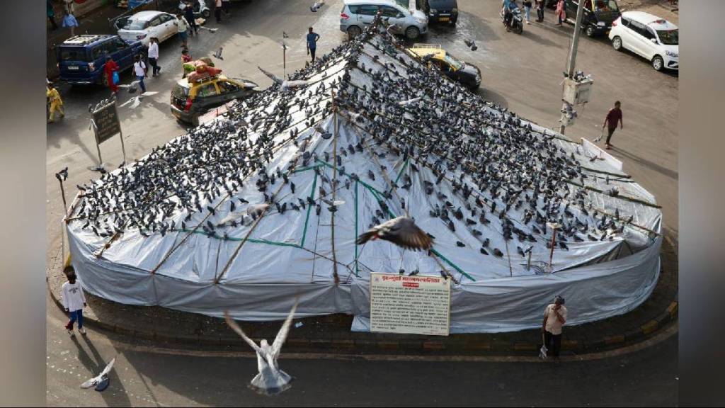 Jain community's reply to Hindus on Kabutarkhana
