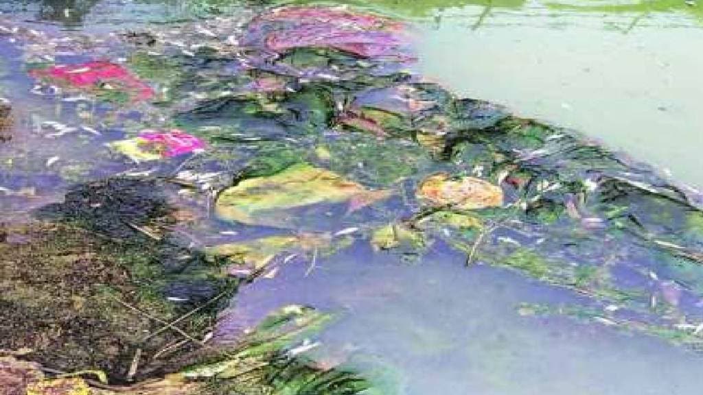 Taloja area in danger due to increasing pollution in Kasadi river