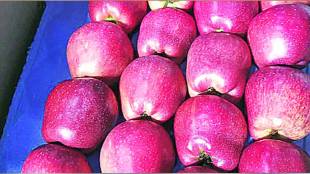 Purchase of apples from Kashmir from Pune under E NAM Interstate Trade pune print news