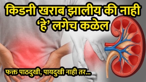 किडनी खराब झाली की शरीराच्या ‘या’ ६ भागात होतात खूप वेदना, अजिबात दुर्लक्ष करू नका, नाहीतर जीवावर बेतू शकते…