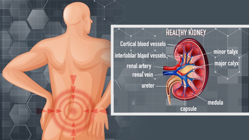 kidney health symptoms on body
