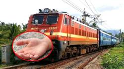 कुशीनगर एक्स्प्रेसमध्ये सापडला अल्पवयीन मुलाचा मृतदेह
