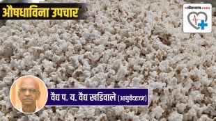 puffed grains lahya