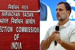 election commission reply to rahul Gandhi ask to submit signed declaration and oath over stollen claim