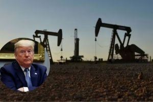 Donald Trump Tariff Impact On India