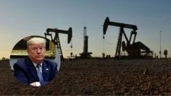 Trump Tariff Impact : ट्रम्प यांच्या दबावानंतर रशियान तेल घेणे बंद केले तर काय होईल? SBIच्या रिपोर्टमध्ये महत्त्वाची माहिती समोर