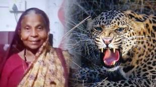 Elderly woman dies in leopard attack
