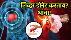 लिव्हर डोनेट करताय? थांबा! पुण्यात लिव्हर ट्रान्सप्लांटनंतर नवरा बायकोचा मृत्यू; डोनेट करण्याआधी तुम्हाला ‘या’ गोष्टी माहित असल्याच पाहिजेत, डॉक्टर म्हणाले…